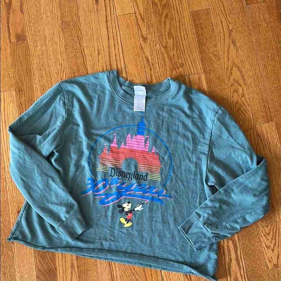 Disney Other - Disney Kids Teal Disneyland Sweatshirt